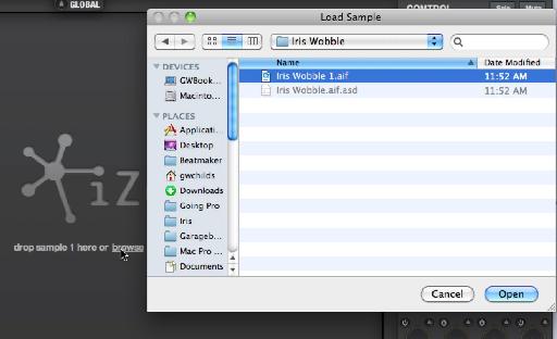 Importing a beefy audio file in Iris!