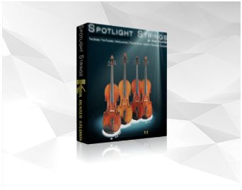 SPOTLIGHT SOLO STRINGS