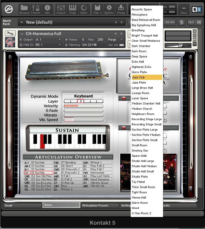 Pic 2 - Lots of reverb presets to choose from