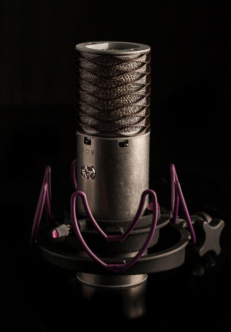 Aston custom Rycote shock mount in situ.