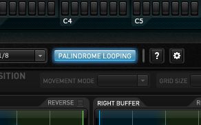 The Palindrome looping button is an essential parameter