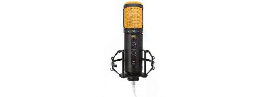 SL600 USB Condenser Microphone vertical picture.