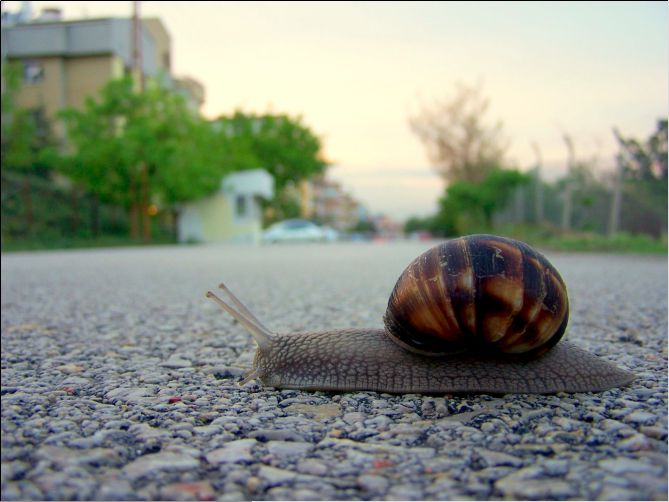 Online Software Workflow Production Courses Macprovideo Com