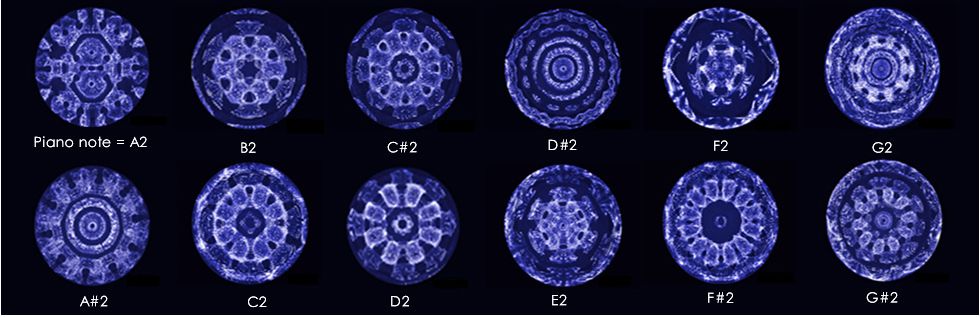 Figure 3—Notes on a Piano as Cymatic Images (cymascope.com).