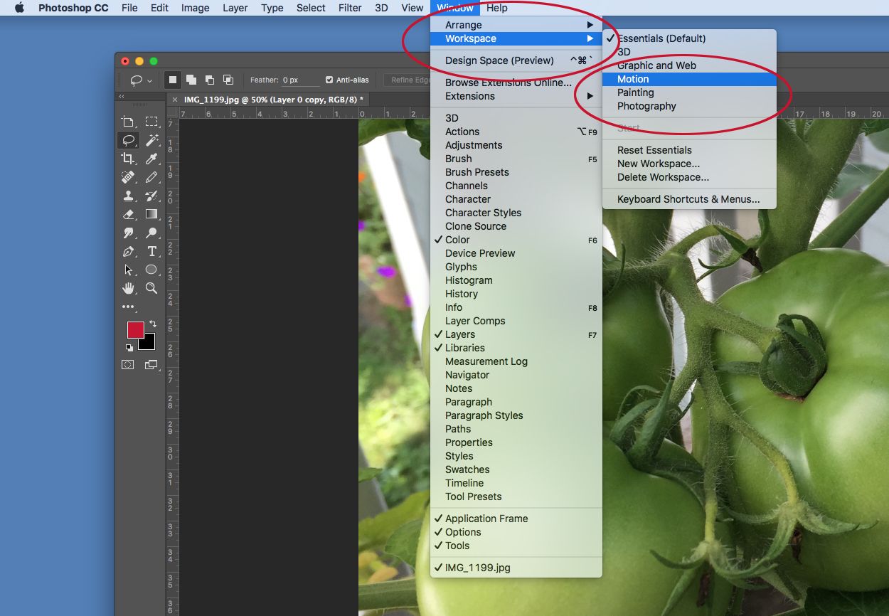 How to Create an Animated GIF in Photoshop CC – Photoshop and