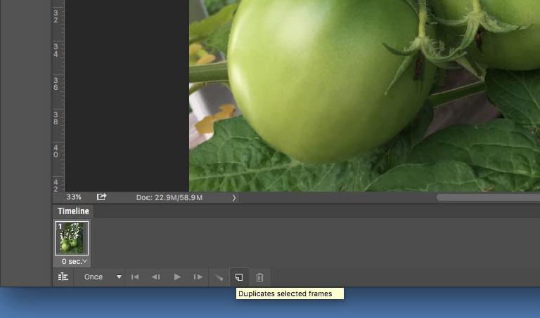 How to Create an Animated GIF in Adobe Photoshop Elements: 7 Steps