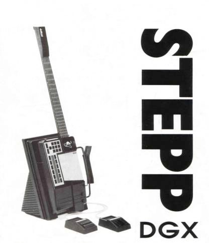 Stephen Randall's Stepp guitar