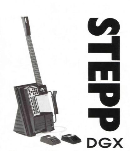 Stephen Randall’s Stepp guitar