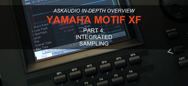 sample motif xf