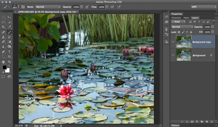 Quick Background Blurs with Photoshop CS6?s Field Blur