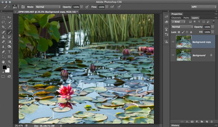 Learn How to do Selective coloring of an Image in Adobe Photoshop CS6 |  EntheosWeb