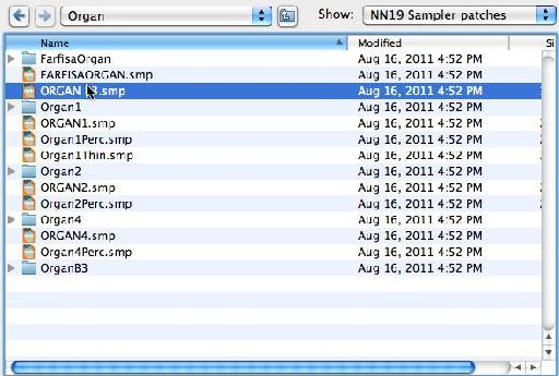 NN-19 Patches > Organ > B3