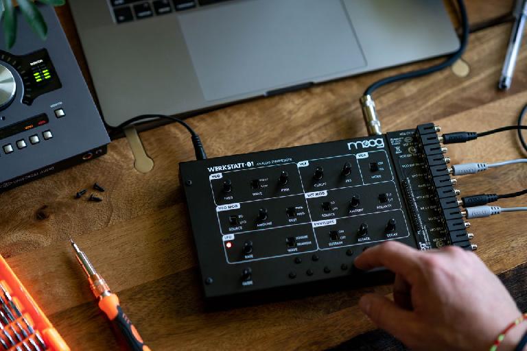 Moog Werkstatt 01 synthesizer