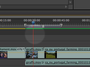 adobe premiere pro 2014 smallest export format