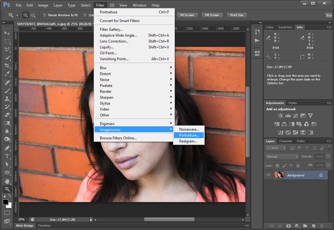 imagenomic portraiture 3 lightroom review