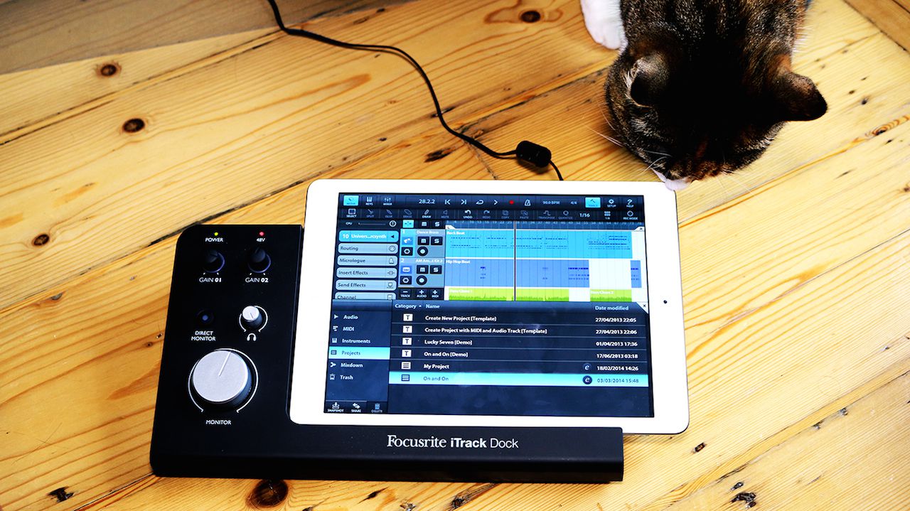 Even cats like the iTrack Dock.