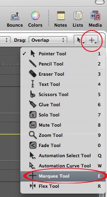 Marquee Tool