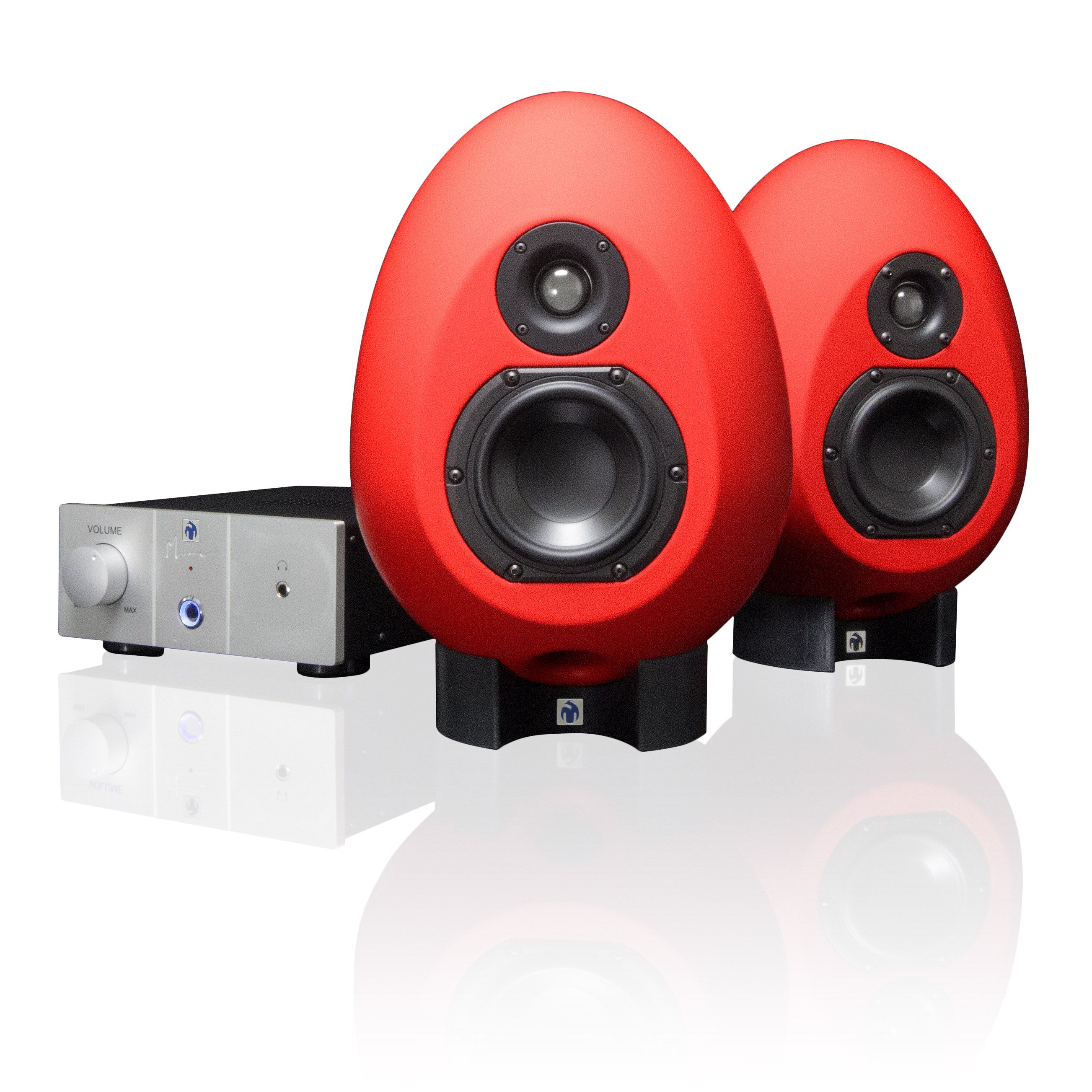 The SonicMunro Egg 100s with the included control and amplifer.