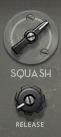 Turn up the squash