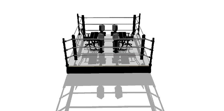 music producers in the boxing ring