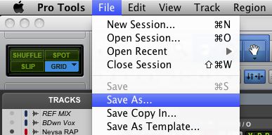 Figure 2: The “Save As…” dialog from ProTools 9.