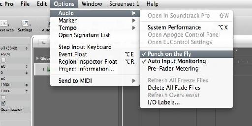 Fig 2. Make sure Punch on the Fly is enabled.