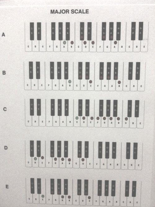 Articles can be pasted into the book.