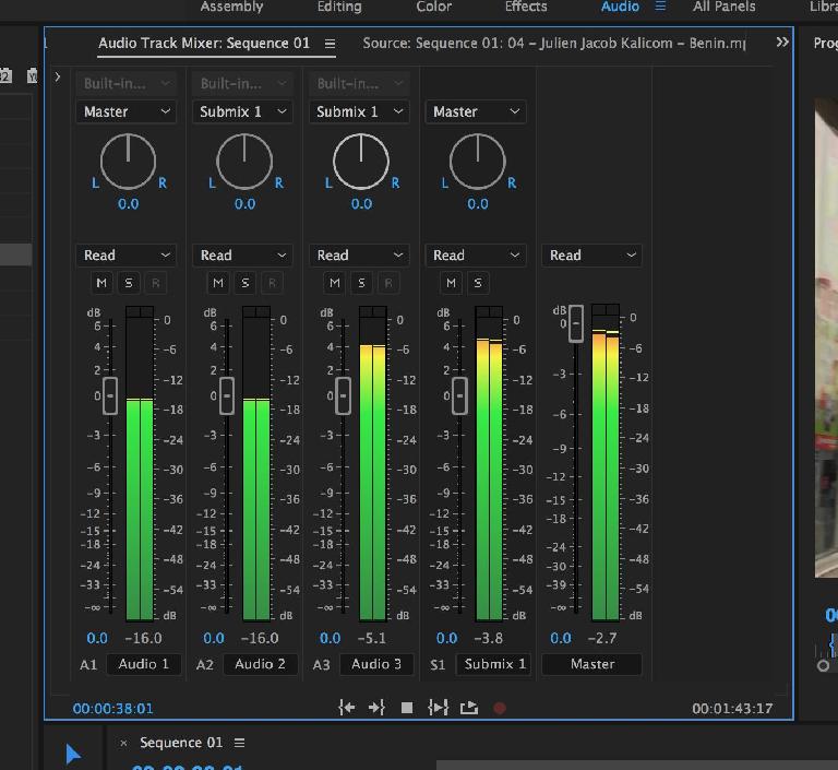 Vocoder premiere pro как установить