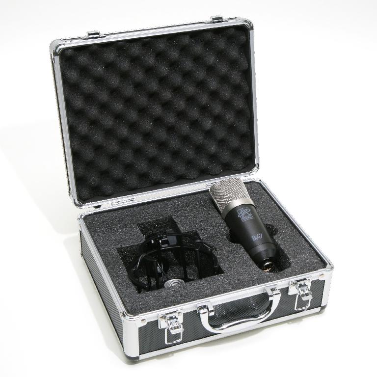 Roswell Pro Audio Mini K47 in flight case.